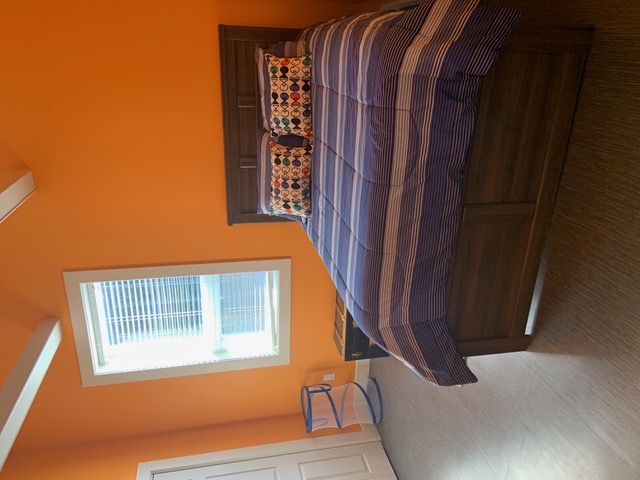 Great Auk Suite